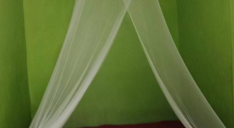 foto9