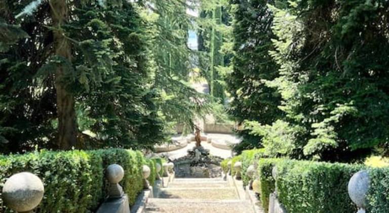 foto31