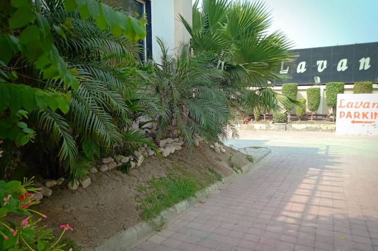 foto7