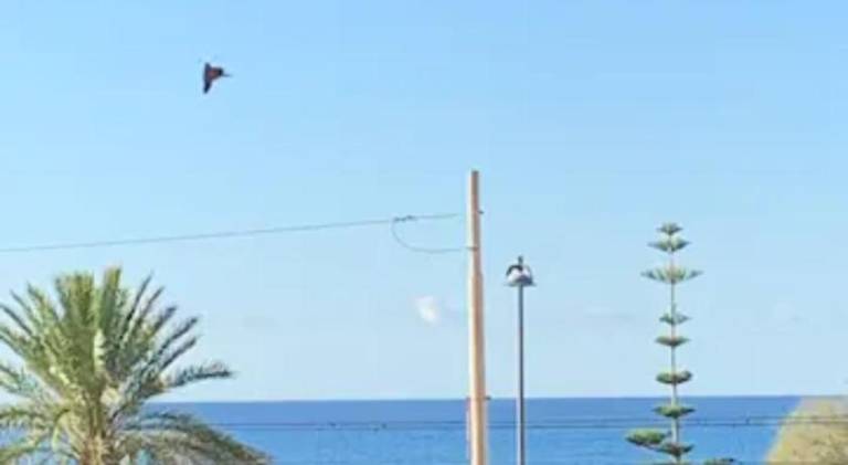 Holiday apartment with 2 rooms for 5 persons in Bordighera