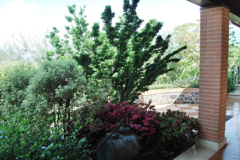 foto18