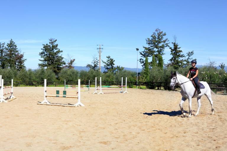 foto8