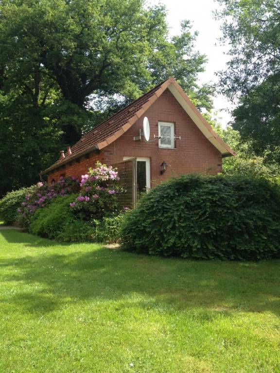 foto11
