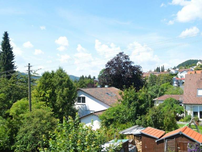 foto19