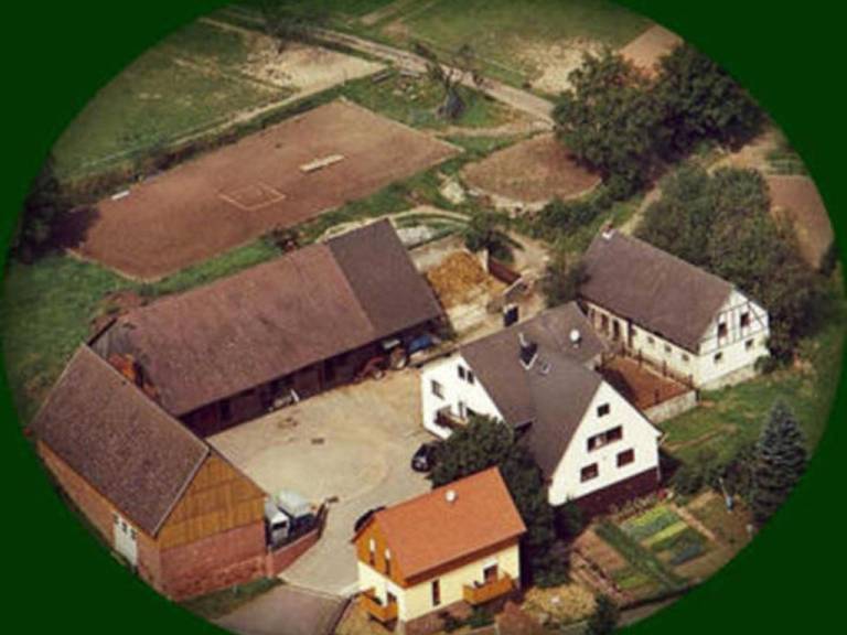 foto19