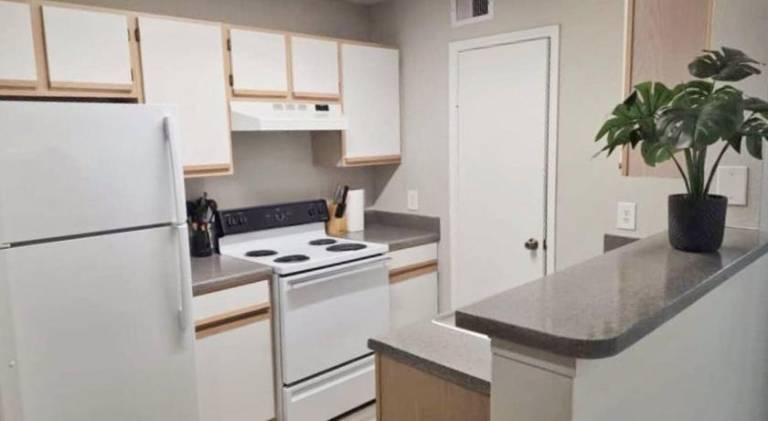 Cool 2Bed 1Bath 5 min walk to NRG and Medical Center — photo 4