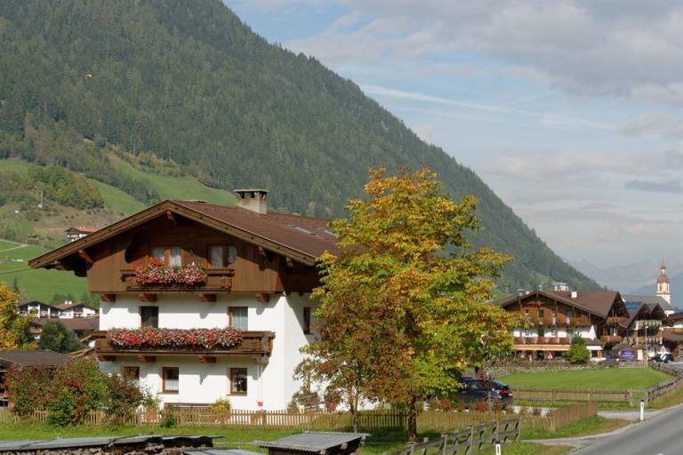 foto1