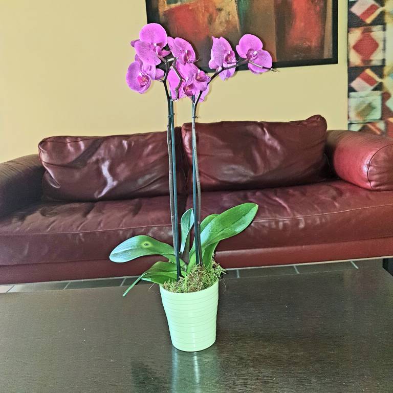 foto7