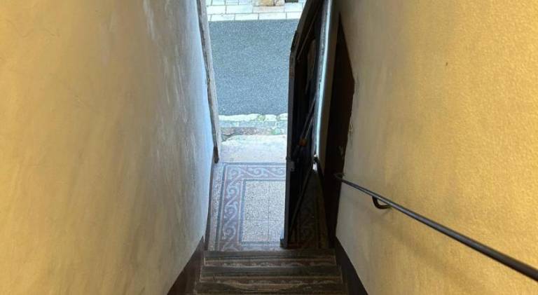 Rental apartment | Pet-friendly — photo 5