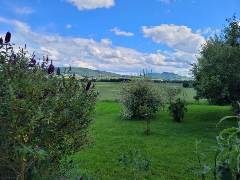 foto21