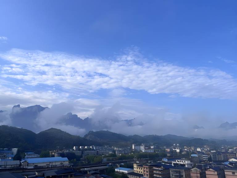 Zhangjiajie Cat Theme Inn — photo 5
