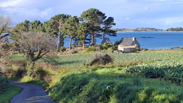 Ferienhaus in Kerbors, Bretagne für max. 4 Personen