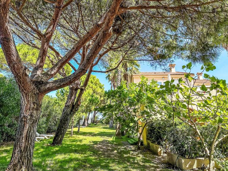 Maison de vacances  Borgo