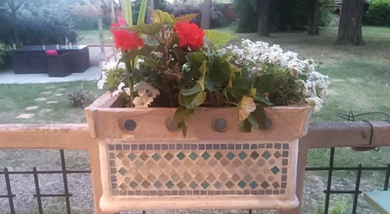 foto35
