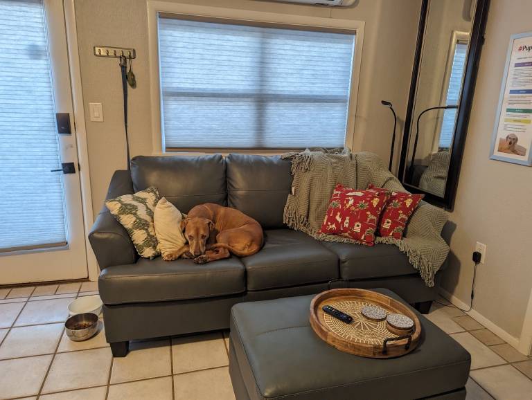 Condo Wildwood Crest