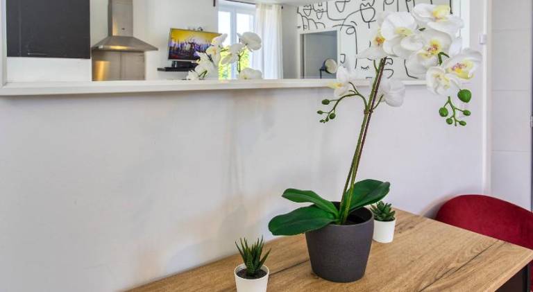 Rental apartment with patio — photo 4