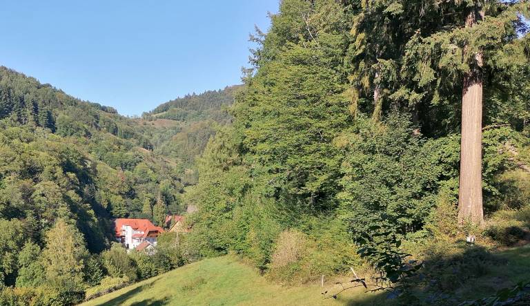 foto16