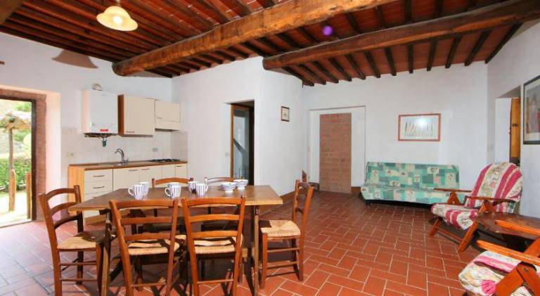 Holiday apartment with pool in Gaiole in Chianti