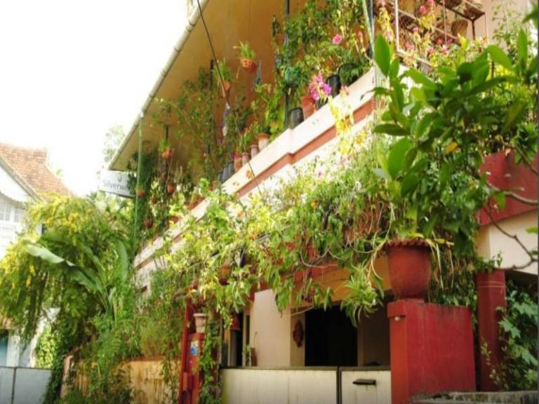 Bed and breakfast  Thamaraparambu