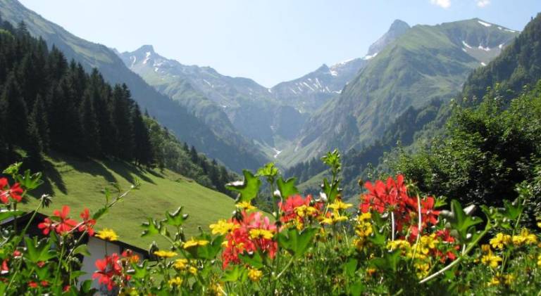 Ferienparadies Spielmannsau in Oberstdorf