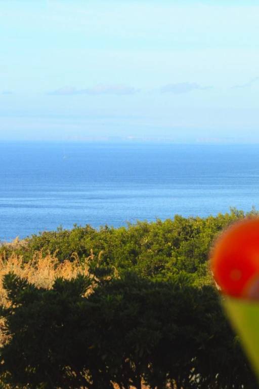 Ferienwohnung Carvoeiro