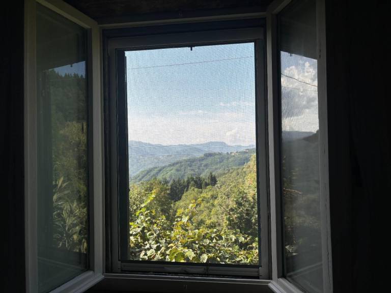 foto42