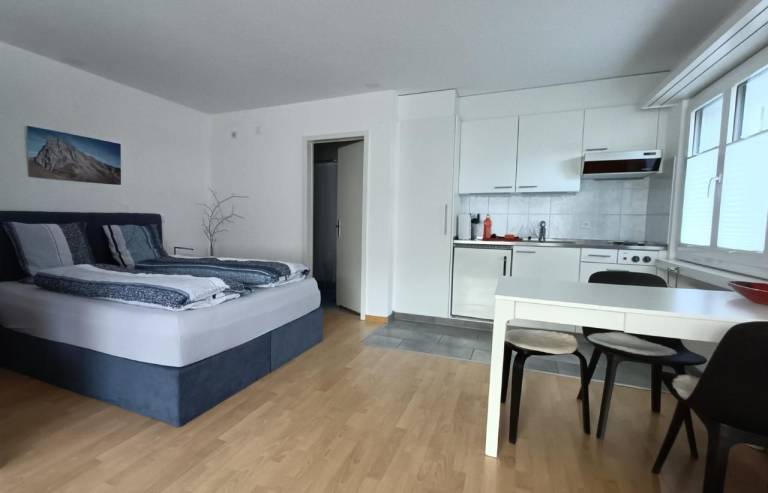 Ferienwohnung Maienfeld