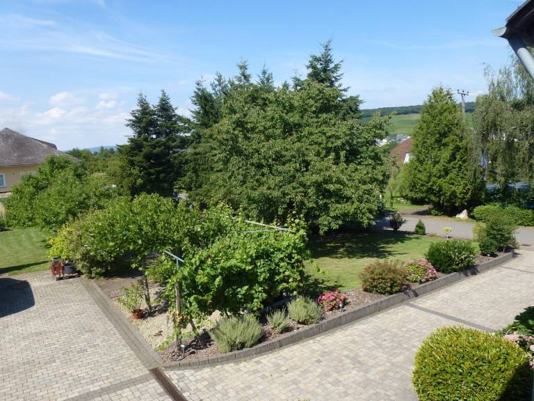 foto31