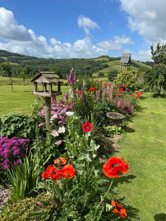 Bed and breakfast  Staverton