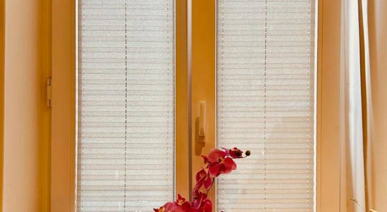 Guest House — photo 4