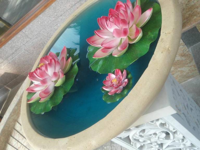 foto40