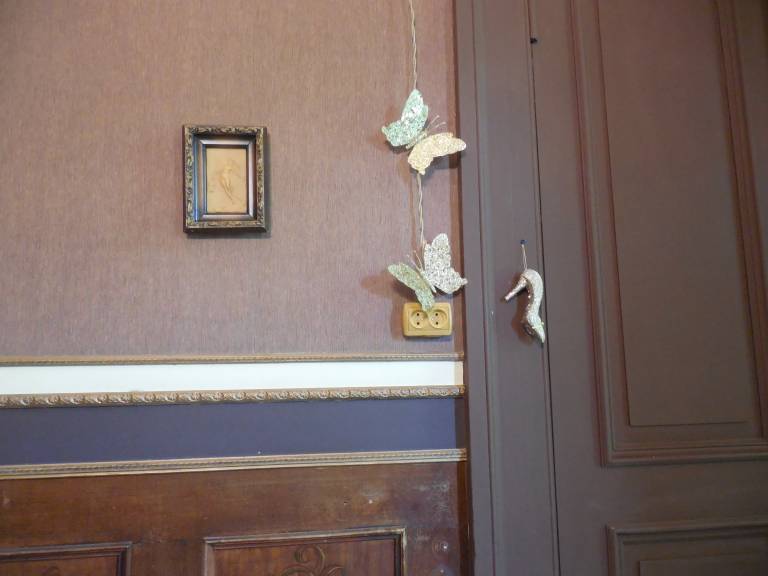 Solo-Lucky — photo 4