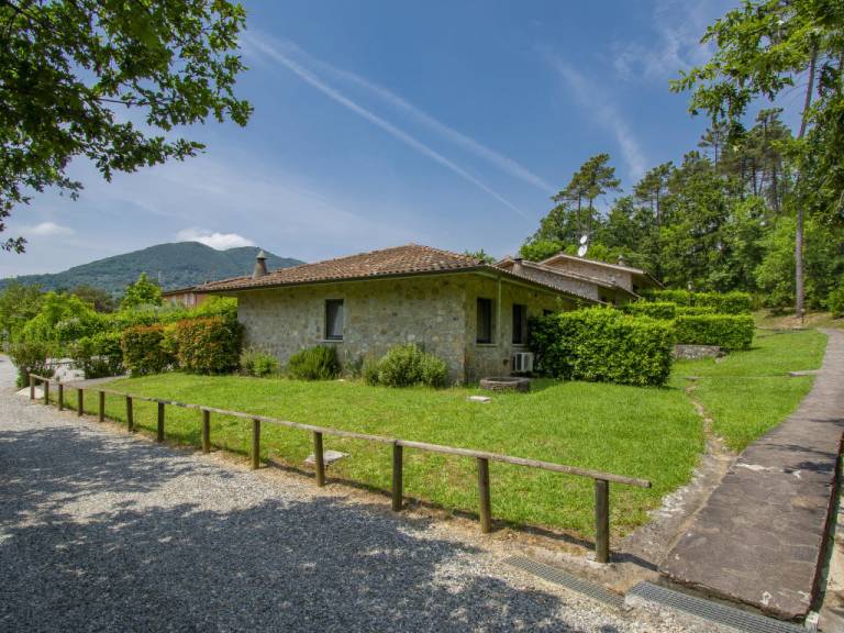 foto42