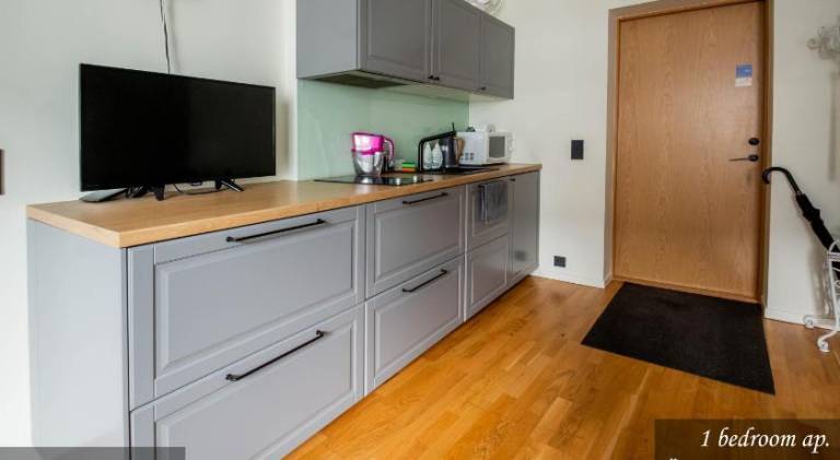 Rental apartment | Suitable for remote work — photo 4