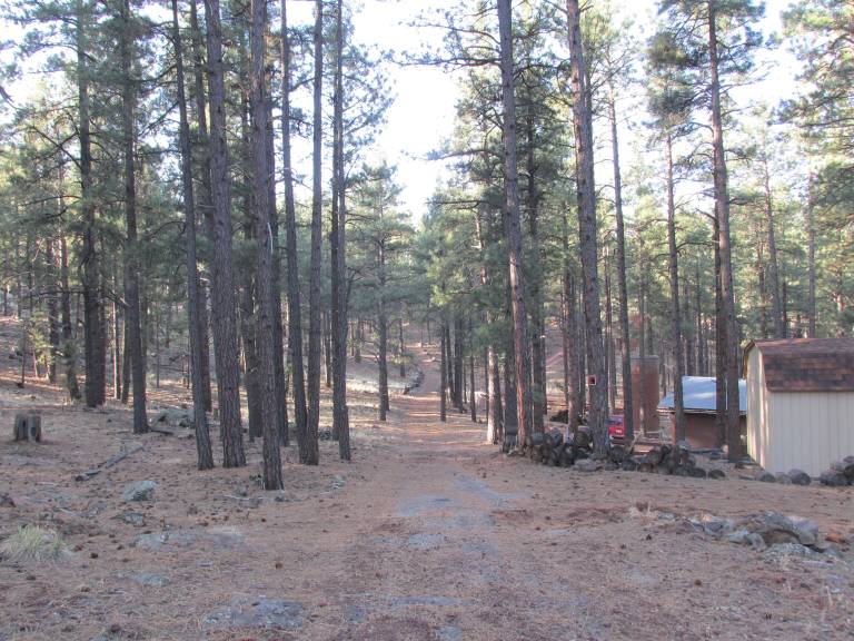 Cabin  Parks