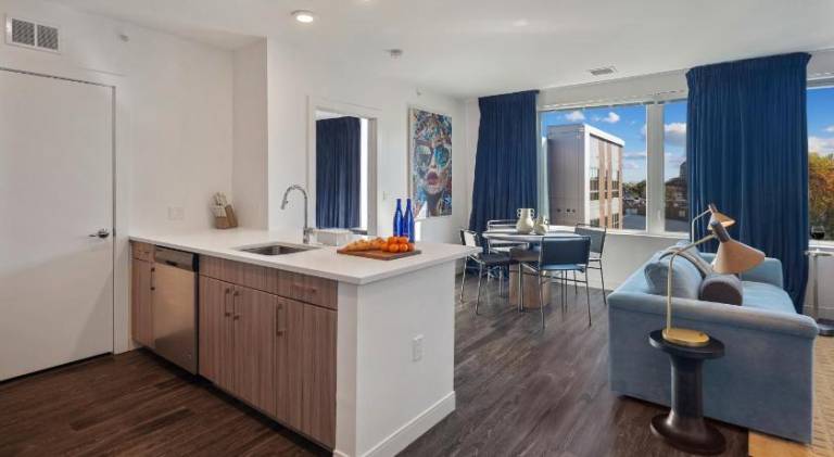 Hyatus Luxury Residences Boston South Bay Designer Collection — photo 2