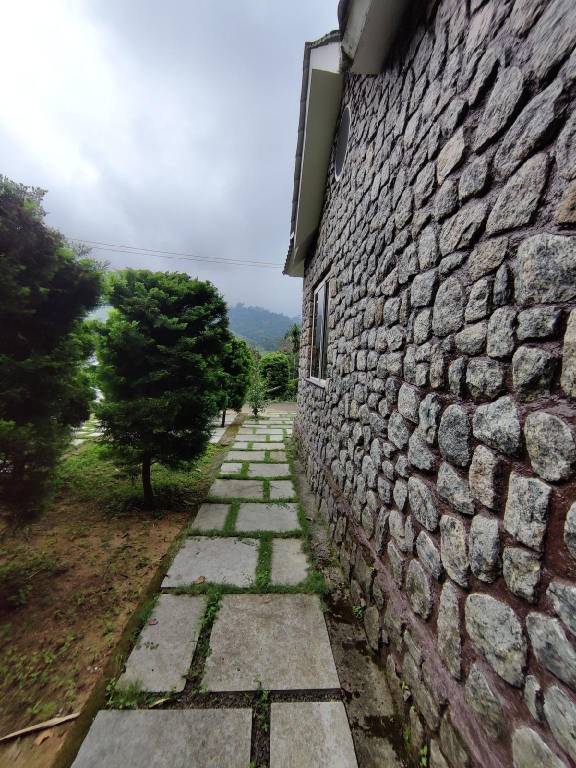 foto42