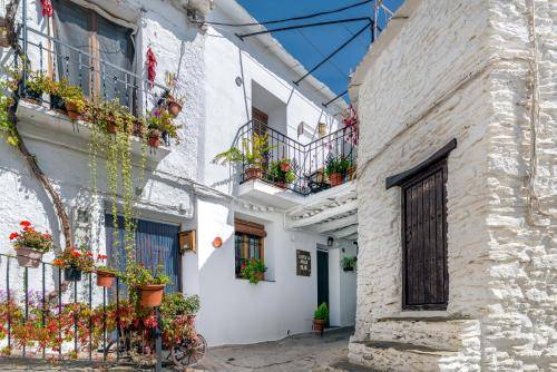Casa Pitres