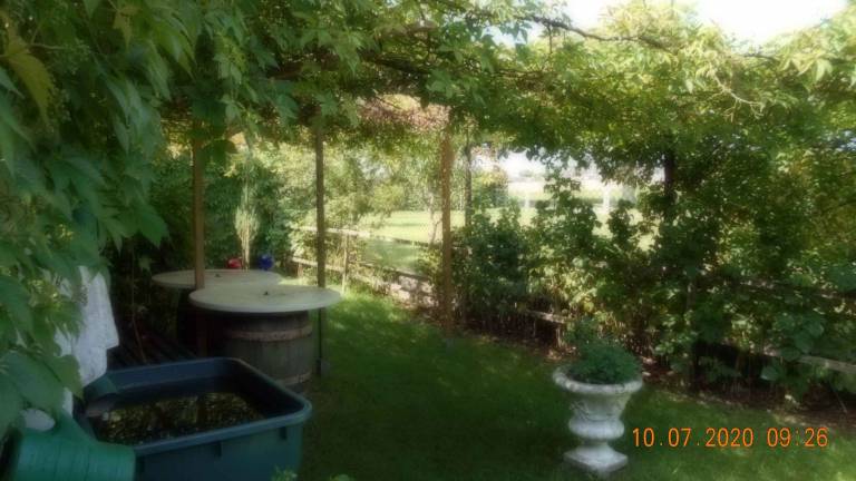 foto16