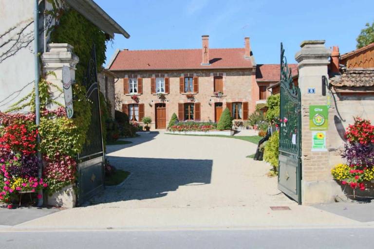 foto1