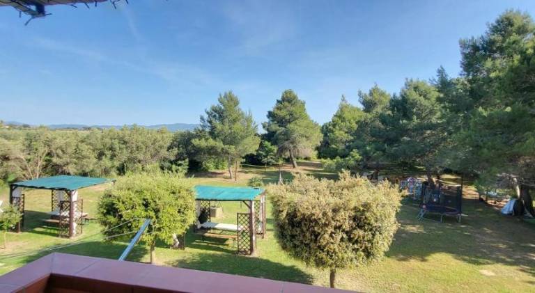 Il Boschetto — photo 4