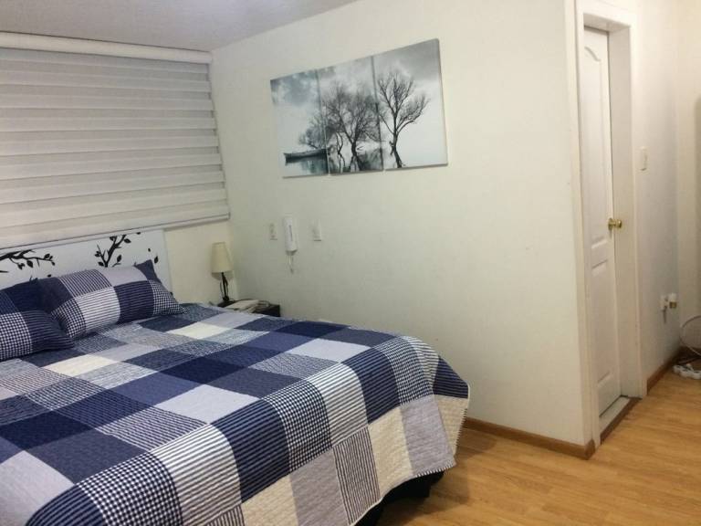 foto8