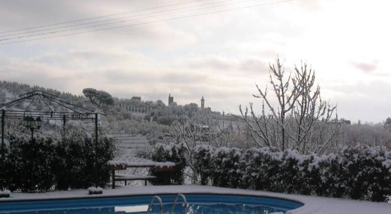Farm with pool & garden — photo 4