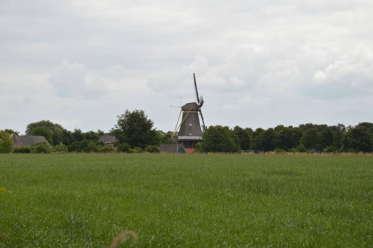 foto20