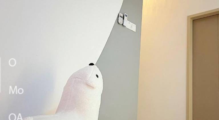 foto11