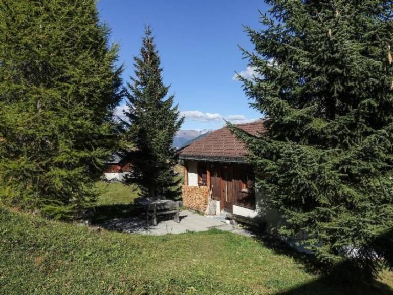 foto1