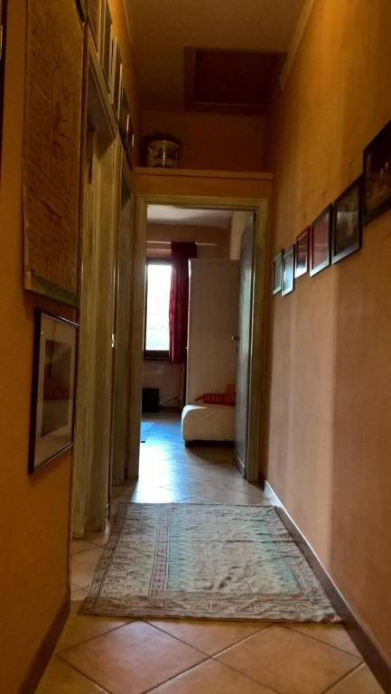 foto8