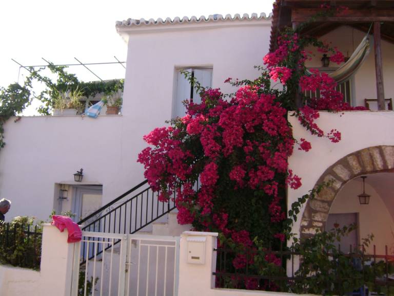 House with terrace, barbecue & yard — photo 2