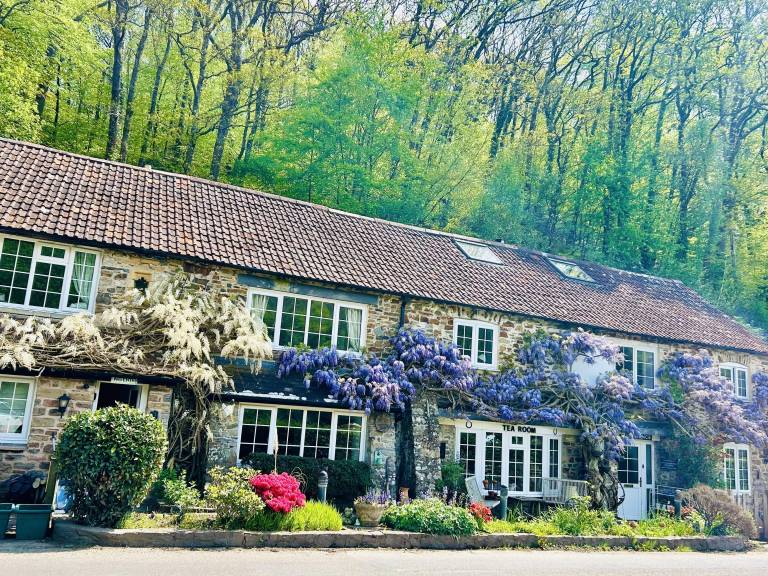 House East Anstey
