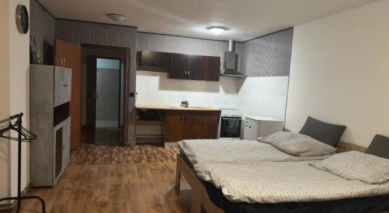 Apartments Bilina — photo 2